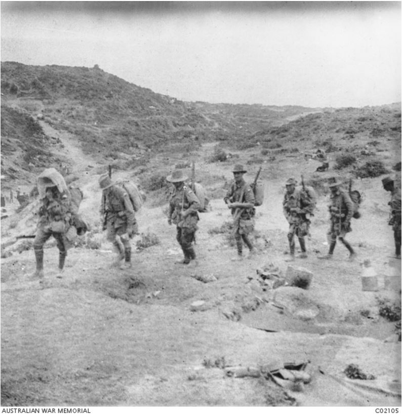 AWM. 24th Battalion Gallipoli