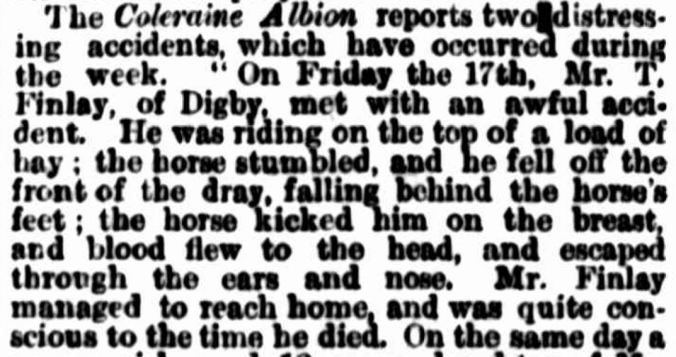 "COUNTRY NEWS." The Argus (Melbourne, Vic. : 1848 - 1957) 28 December 1869: .